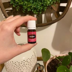 YL Patchouli essential oil